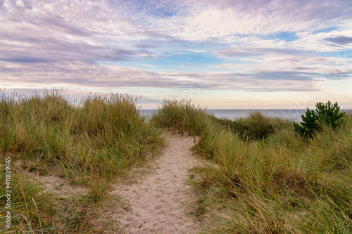 Lonely footpath through the sand dunes to the beach of the Baltic Sea in Jutland, Denmark