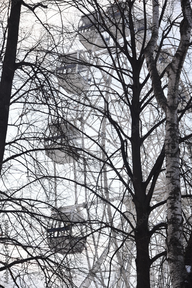 park in winter. Ferris wheel attraction, Ferris wheel, in winter on the background of the branches of the trees of the park without leaves park in winter. Ferris wheel attraction, Ferris wheel, in winter on the background of the branches of the trees of the park without leaves