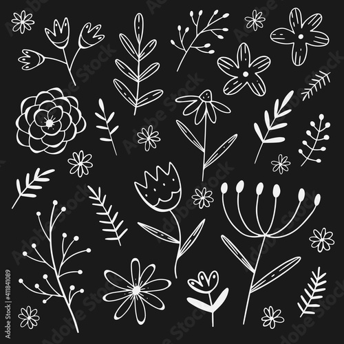 Vector set of white flower and twigs in doodle style isolated on black background. Hand draw vector illustration. Collection of decorative elements.