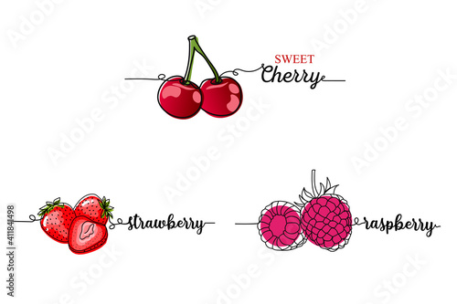 Set of a continuous one line drawing silhouette of a berries strawberry, cherry, raspberry. Vector illustration isolated on the white background.