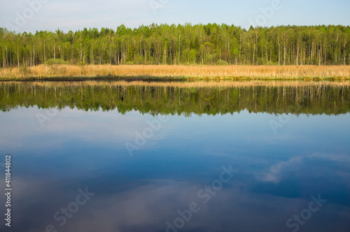 Quiet lake with dark blue water and sky reflection. Straight shoreline with yellow reeds and green forest on the far shore. Calm spring landscape..