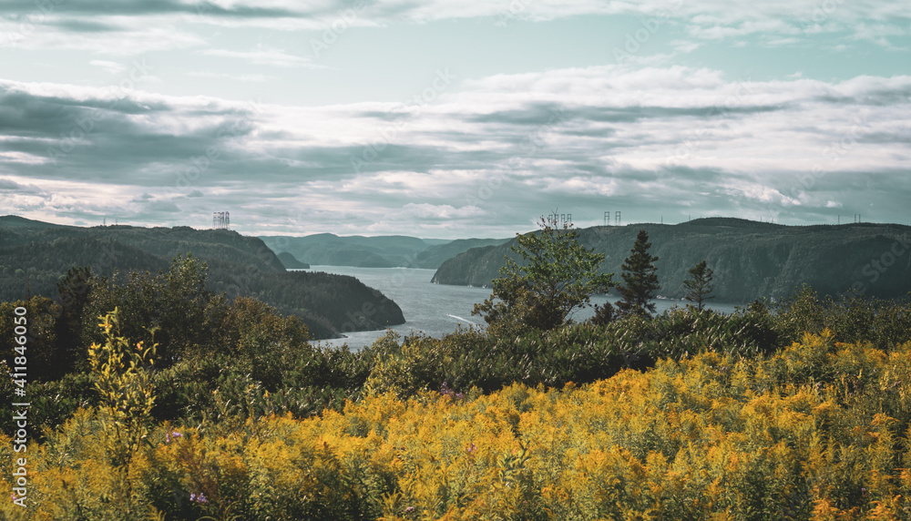 View point of fjord du Saguenay in Quebec Province on the East side with threatening sky and nice green and yellow bushes in the foreground