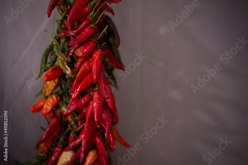 dried red hot peppers for paprika. capsicum healthy natural ingredient for for spicy food