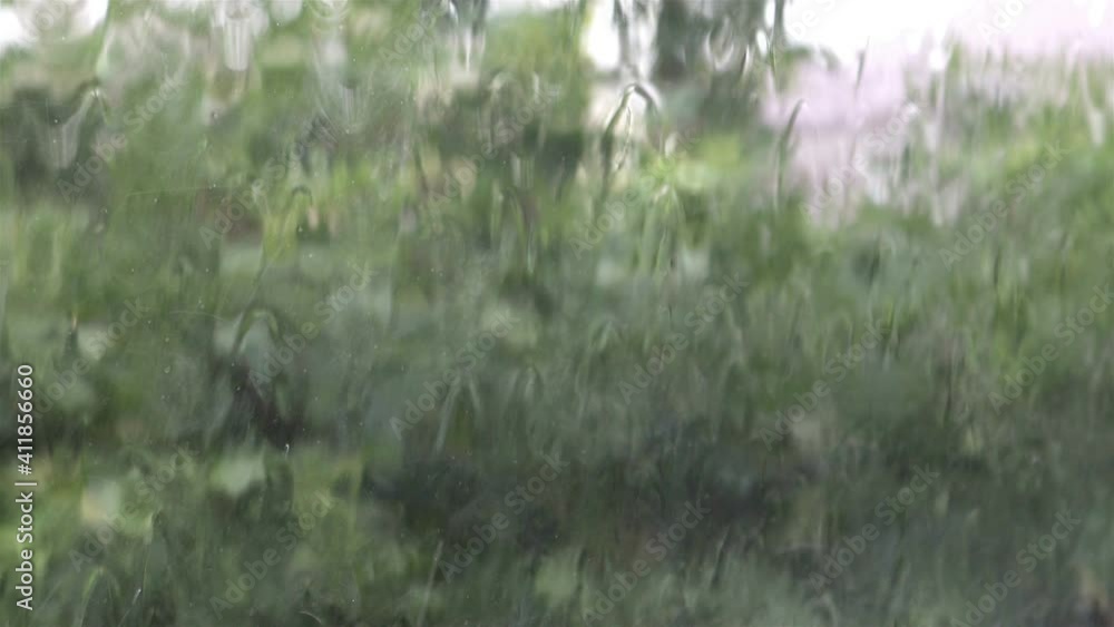 Rain drops on the window glass