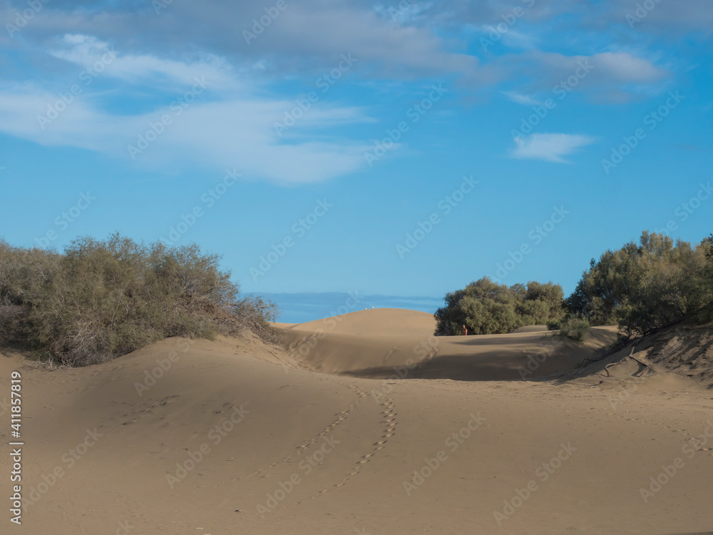 View of the Natural Reserve of Dunes of Maspalomas, golden sand dunes, blue sky. Gran Canaria, Canary Islands, Spain