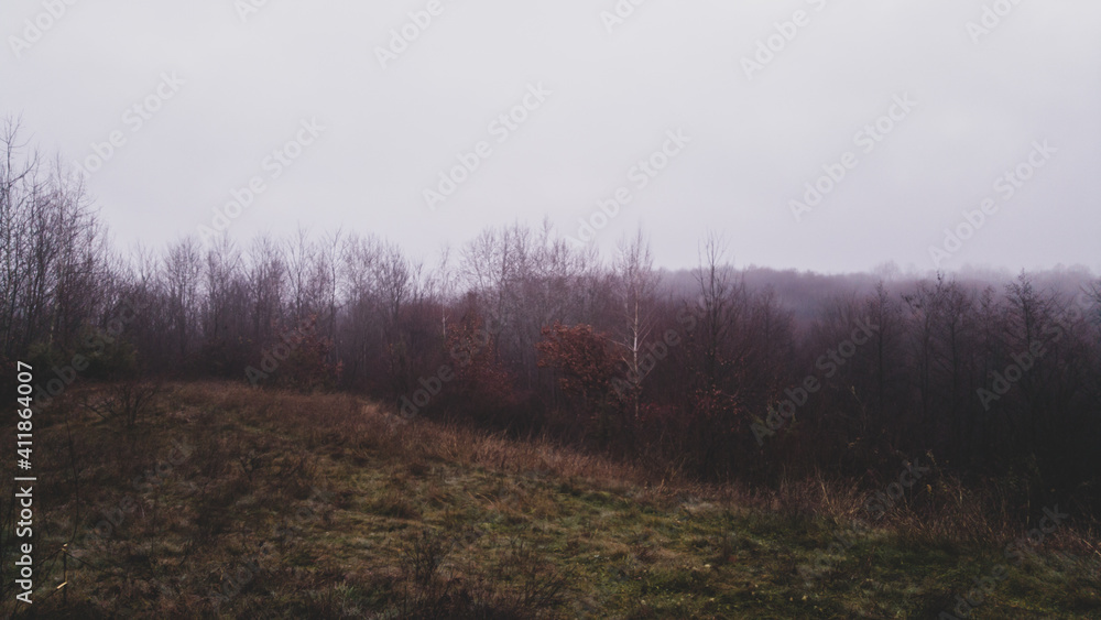mystical landscape in the beech forest with few leaves shrouded in dense fog in the cold season mystical landscape in the beech forest with few leaves shrouded in dense fog in the cold season