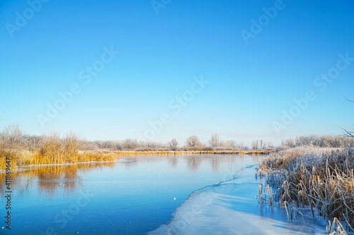 The blue sky over the ice of the winter small river. Bushes, reeds and trees covered with frost. Fabulous