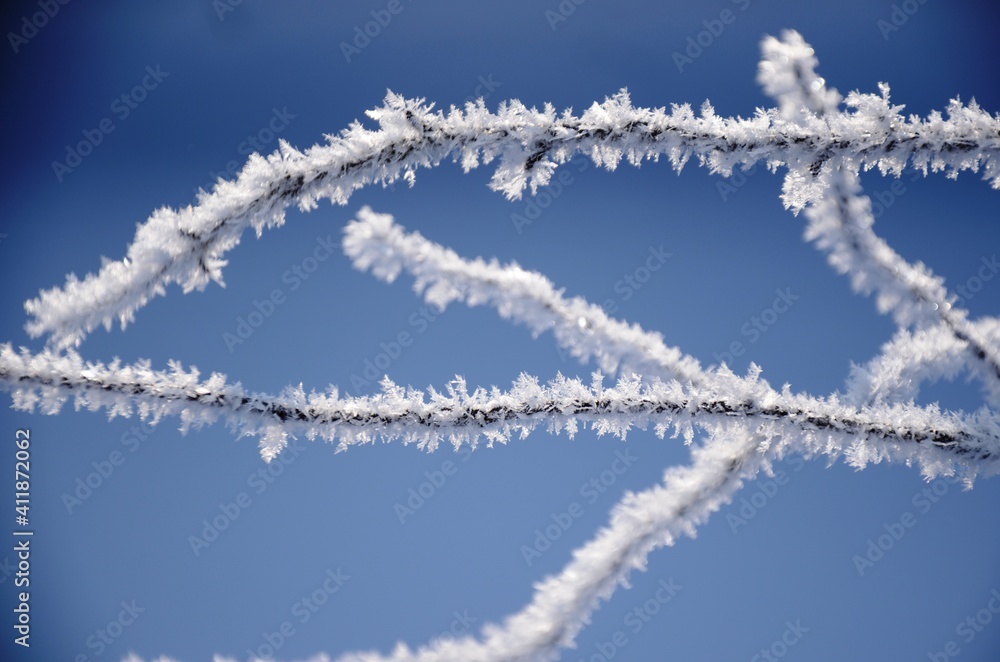 Detailed Crystal frost on the branches Winter landscape. White hoarfrost covered branches of tree on a background of blue sky. Detailed Crystal frost on the branches Winter landscape. White hoarfrost covered branches of tree on a background of blue sky.