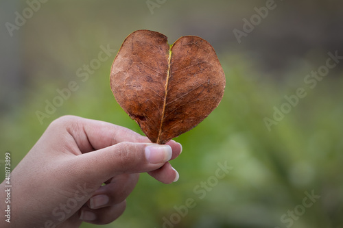 Woman holding heart shape leaf