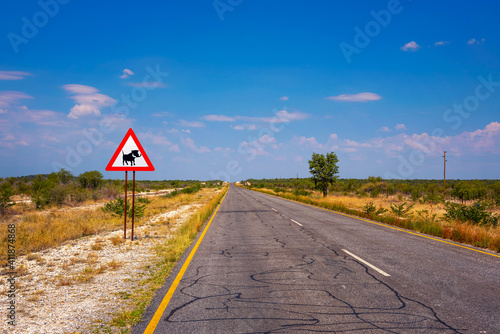 Warthogs crossing warning road sign placed along a road in Namibia