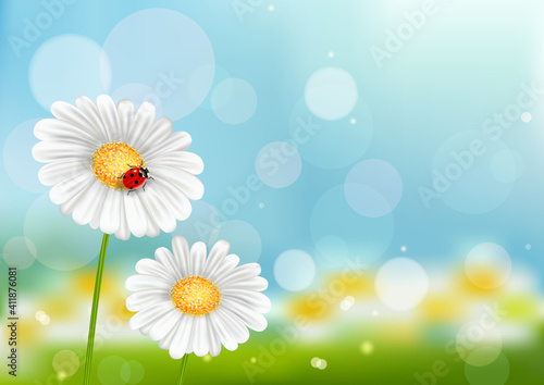 Chamomiles with ladybug on spring blurred background, flower meadow with bokeh, sky and grass out of focus, template for poster, banner, flyer, coupon and postcard. © gossip7