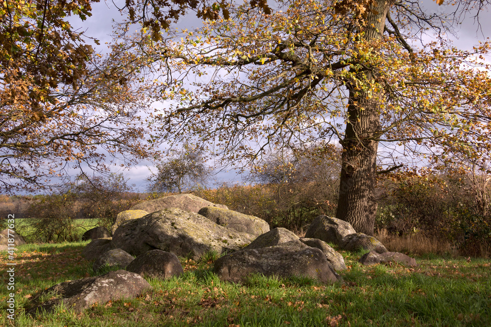 View of an ancient burial ground in Altmark, Saxony-Anhalt. Around the grave are old oak trees.