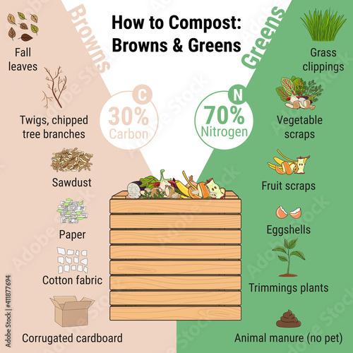 Infographic of garden composting bin with scraps. What to compost. Green and brawn ratio for composting. Recycling organic waste. Sustainable living concept