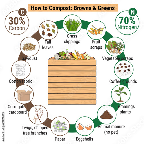 Infographic of garden composting bin with scraps. What to compost. Green and brawn ratio for composting. Recycling organic waste. Sustainable living concept