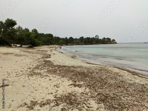 Plage Sentier du littoral, bord de mer méditerranée à hyères french rivera, rocher et vague s'écrasant sir ma rive des falaises, arbes pin de provence, rondin de bois, parc naturel protégé forêt photo