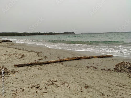 Plage Sentier du littoral, bord de mer méditerranée à hyères french rivera, rocher et vague s'écrasant sir ma rive des falaises, arbes pin de provence, rondin de bois, parc naturel protégé forêt photo