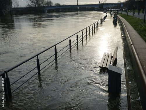 High water at the River Main in Frankfurt Hoechst