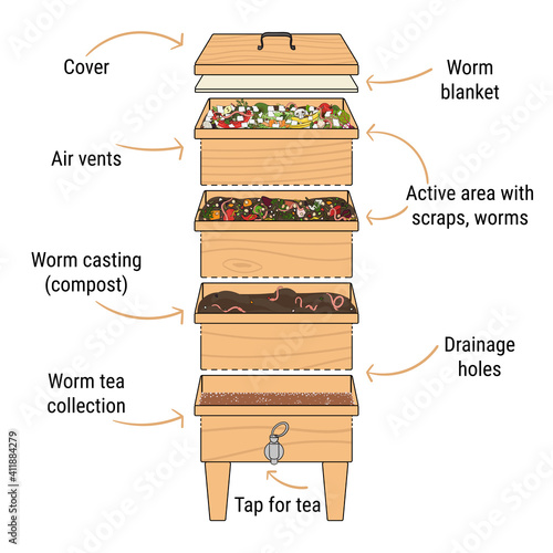 Infographic of vermicomposting. Components of vermicomposter. Vermicomposter schematic design. Worm composting. Recycling organic waste, fertilizer organic