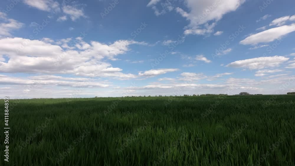 Clear sky over emerald green field. Time Lapse: Green fields with cloud moving and blue sky.
Clear sky over emerald green field. Time Lapse: Green fields with cloud moving and blue sky.