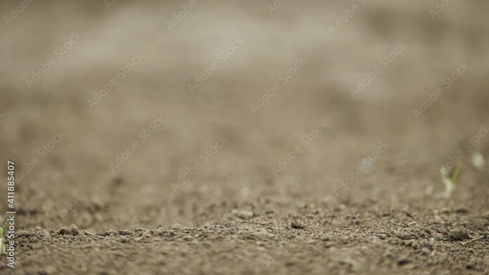 Radio-controlled car peeling out and away from the camera on left side in slow-motion Radio-controlled car peeling out and away from the camera on left side in slow-motion