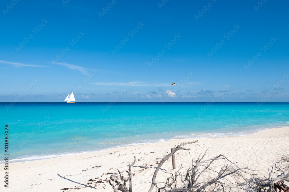 Panoramic view of a deserted Caribbean wild beach with sailboat sailing in the tropical sea. An ideal place for vacation, Cancun, Mexico Panoramic view of a deserted Caribbean wild beach with sailboat sailing in the tropical sea. An ideal place for vacation, Cancun, Mexico