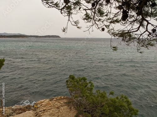 Sentier du littoral, bord de mer méditerranée à hyères french rivera, rocher et vague s'écrasant sir ma rive des falaises, arbes pin de provence, rondin de bois, parc naturel protégé forêt photo