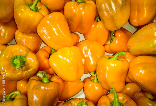 New sort of yellow sweet pepper on Mediterranean market place