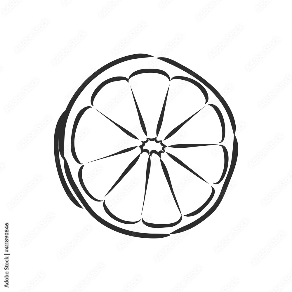 Hand drawn vector lemon slice, piece, on light background. lemon, vector sketch illustration Hand drawn vector lemon slice, piece, on light background. lemon, vector sketch illustration