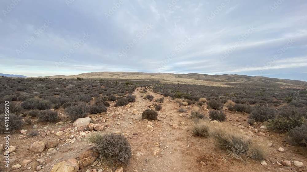 Fototapeta premium path in the mountains