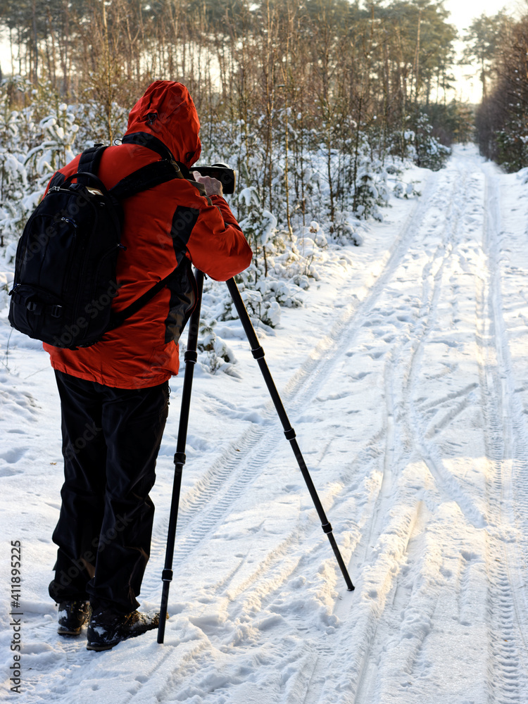 Person using camera in winter forest landscape. Man with camera on tripod in snowy woodlands road.