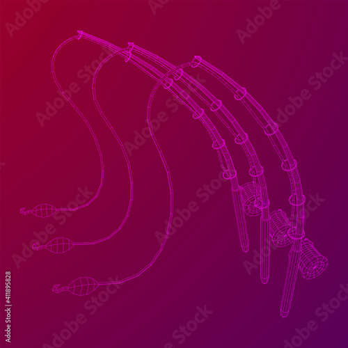 Fishing rod with line sinker and hook