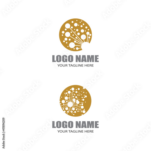 Dandelion flower logo vector template design