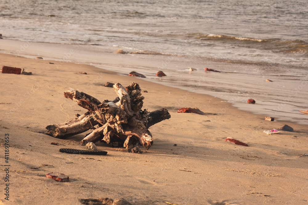 View of a broken part of a tree along the sands of Kovalam Beach, Chennai, India