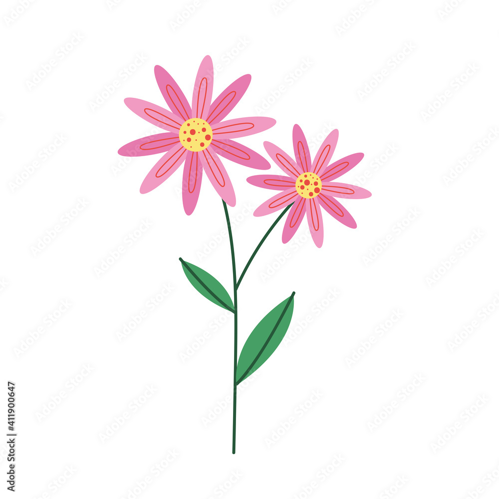 pink petals flowers nature icon