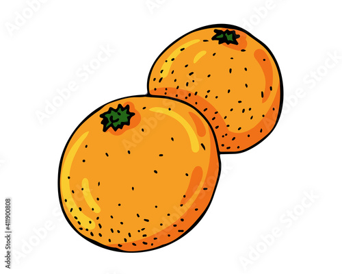 Bright orange oranges are a traditional part of the Chinese New Year celebration. Vector illustration
