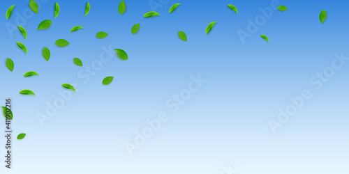 Falling green leaves. Fresh tea random leaves flyi