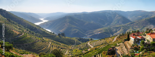 Fotografía Amazing views of Douro vineyards and river from Valença do Douro, Portugal