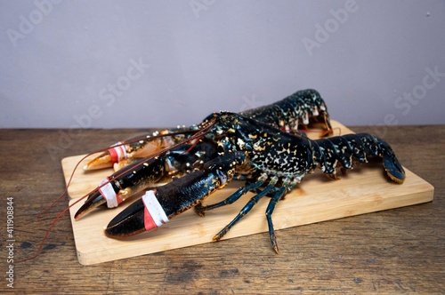 Fresh caught  lobster on  wooden board  photo