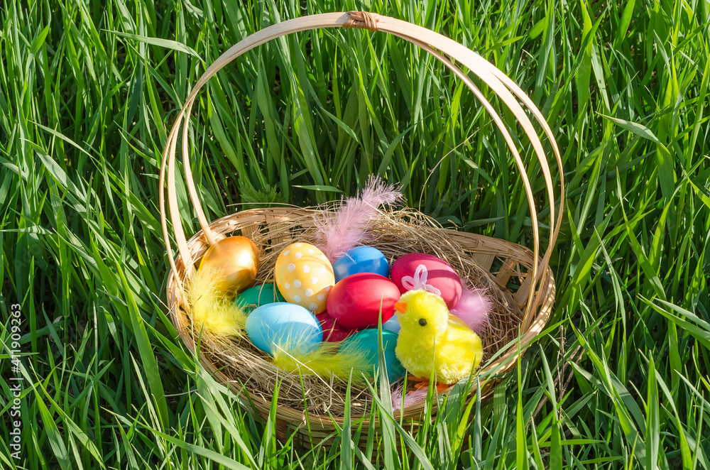 Fototapeta premium Easter card, colorful eggs in a basket with a chicken in the grass