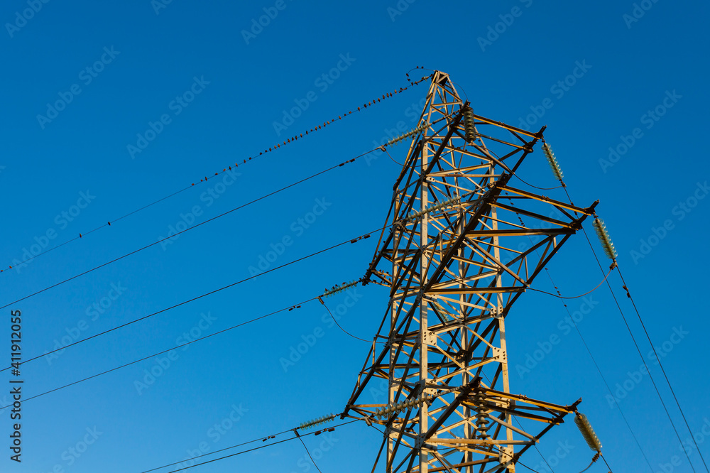 Power line tower on the wires of which a flock of birds sits
