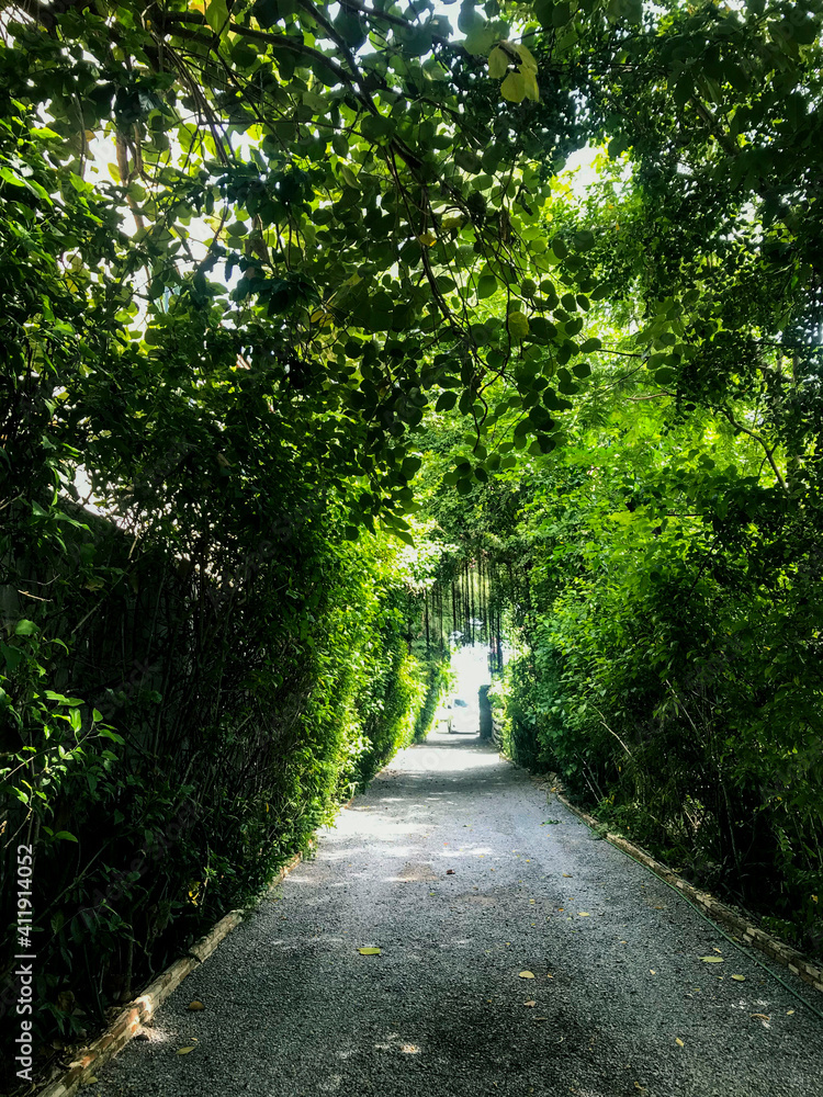 footpath in the park footpath in the park