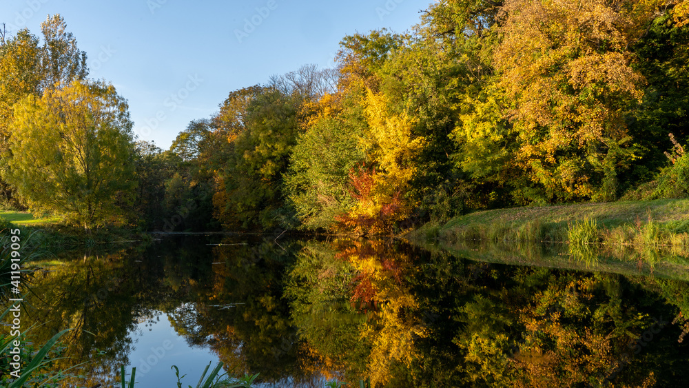 Autumn colorfull nature 