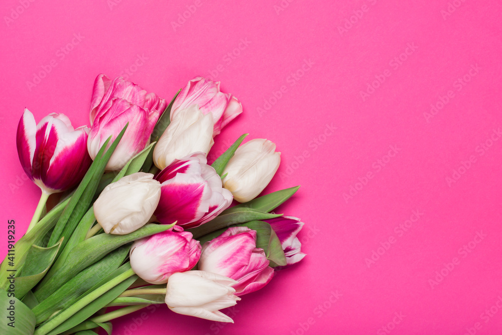 Bouquet of tulips in pink and white colors. Concept of spring, Women's Day, Mother's Day, 8 March, the holiday greetings. Copy space, flat lay. Bouquet of tulips in pink and white colors. Concept of spring, Women's Day, Mother's Day, 8 March, the holiday greetings. Copy space, flat lay.
