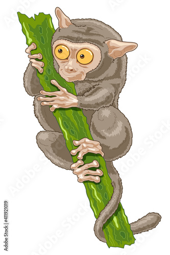 Tarsier cartoon illustration cute face climbing vine