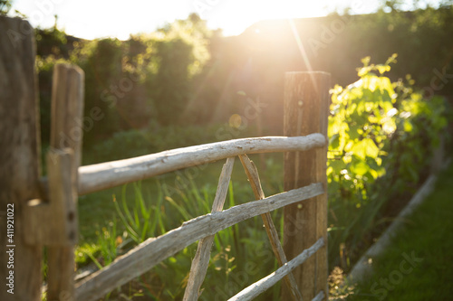 Wood gate in sunny idyllic summer garden