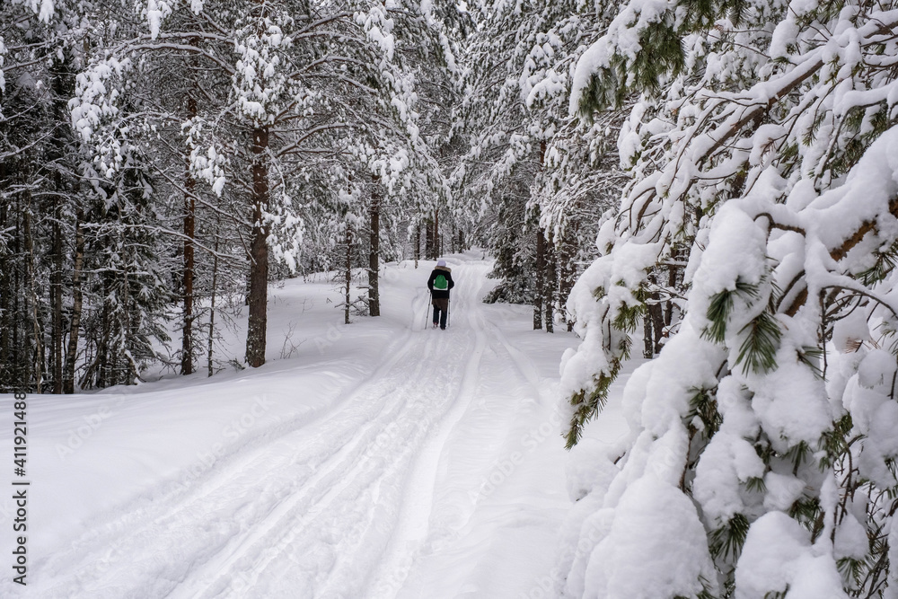 A woman with Scandinavian sticks walks along a snow-covered forest road on a frosty day.