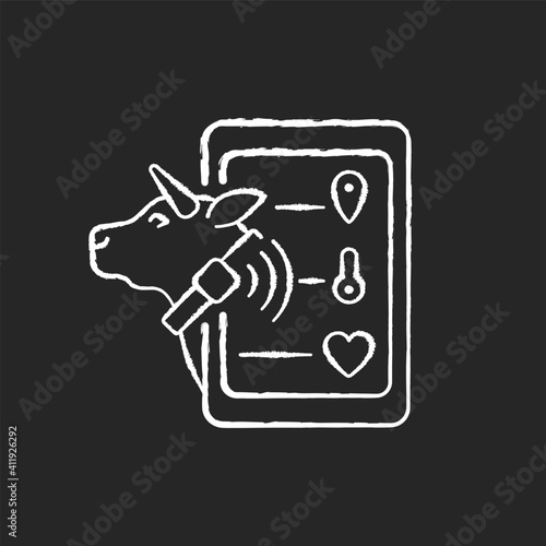 Livestock monitoring chalk white icon on black background. Cattle tracking systems. Cows location monitoring. Smart agritech. Animal identification. Isolated vector chalkboard illustration