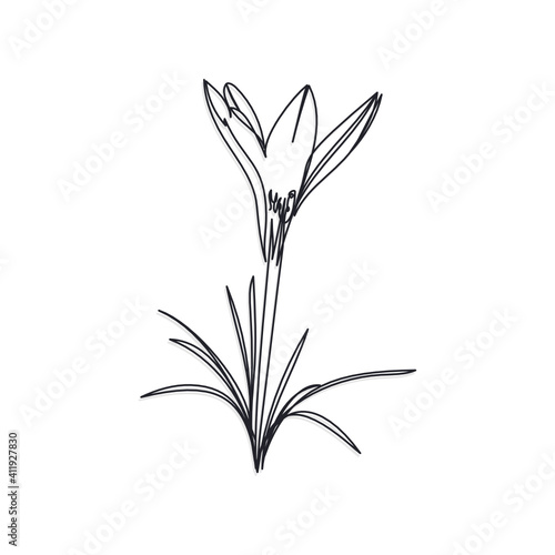 snowdrop one line vector illustration