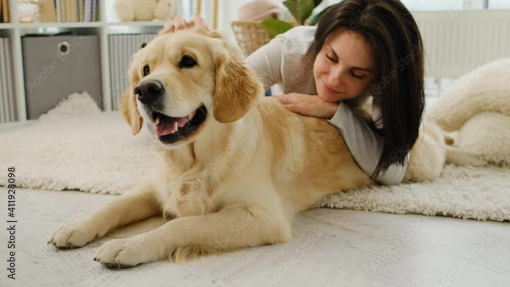 Young woman palming golden retriever dog lying on floor in light room Young woman palming golden retriever dog lying on floor in light room
