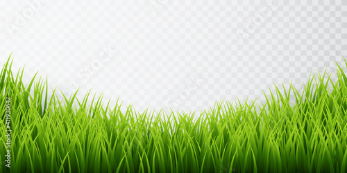 Green grass border set on transparent background. Vector Illustration